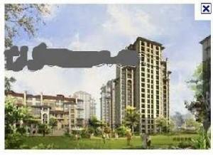 新新家園菸草街 新新家園菸草街