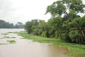 邦達馬河 邦達馬河