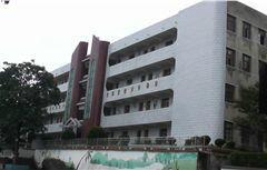 雨化國小 雨化國小