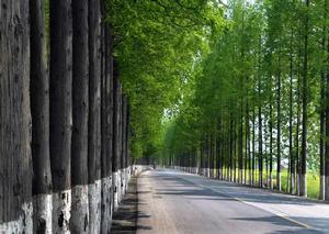 江蘇S233省道 江蘇S233省道