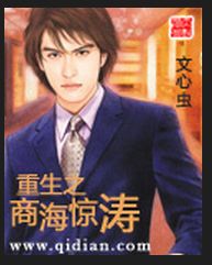 重生之商海驚濤