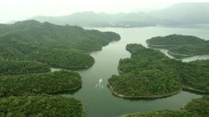 青龍灣國家森林公園 青龍灣國家森林公園