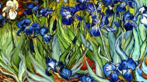 《鳶尾花》 《鳶尾花》