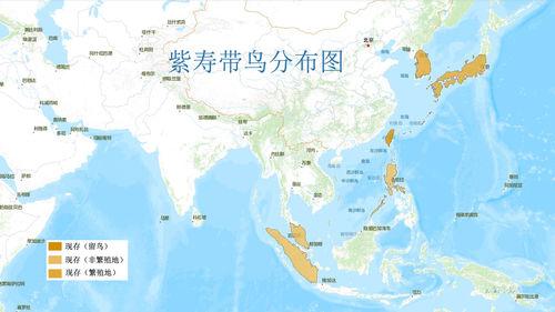 紫壽帶鳥分布圖