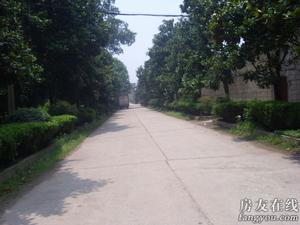 漢陽區琴斷口街麒麟社區 漢陽區琴斷口街麒麟社區