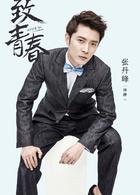 致青春[2016年楊文軍執導電視劇]