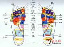 腳底穴點陣圖