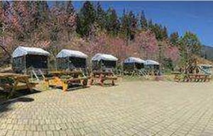 武陵農場 武陵農場