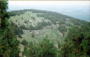 東莞齊長城 東莞齊長城