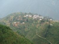 梨樹棵自然村 梨樹棵自然村