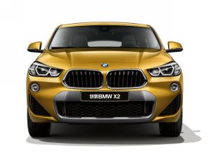 BMWX2 BMWX2
