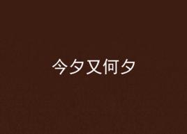 今夕又何夕