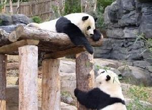 2008年8月31日 2008年8月31日