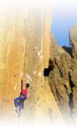 南京欣網視訊科技股份有限公司