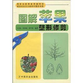 圖解蘋果整形修剪 圖解蘋果整形修剪
