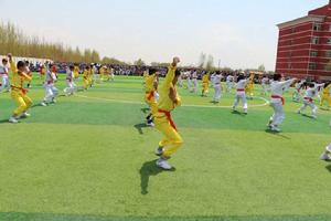 同心縣石獅職業中學 同心縣石獅職業中學