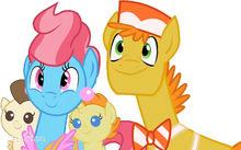 彩虹小馬[1983年美國孩之寶公司出品動畫]