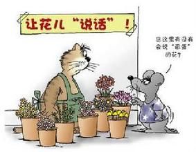 《貓鼠的幸福生活》