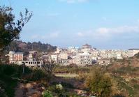 東莒的商業中心--大坪村