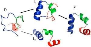 生物學基地班 -生物組