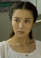 獨家披露[2010年高希希執導電視劇]