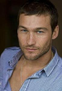 安迪·懷特菲爾德