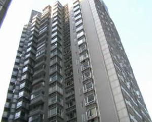 新湖雲庭 新湖雲庭