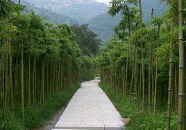 泗水十景 泗水十景