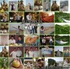 煙臺南山集團 煙臺南山集團