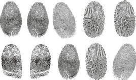 指紋[人手指上的紋路]