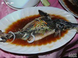 紅燒鯊魚 紅燒鯊魚