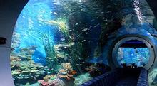 成都海洋館