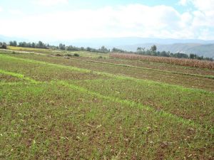 士登自然村 士登自然村