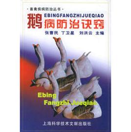 鵝病防治訣竅 鵝病防治訣竅