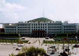 雙鴨山礦業集團 雙鴨山礦業集團