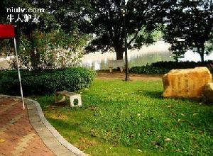 虎英郊野公園 虎英郊野公園