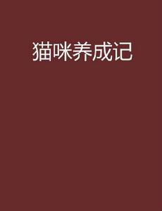 貓咪養成記 貓咪養成記