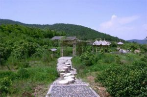 九城宮生態園 九城宮生態園