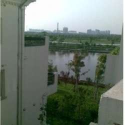 泰然玫瑰灣 泰然玫瑰灣