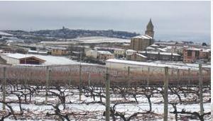 美德拉諾·易拉蘇酒莊 美德拉諾·易拉蘇酒莊