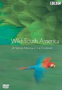 野性南美洲 野性南美洲
