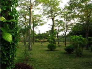 田野農業生態旅遊觀光園 田野農業生態旅遊觀光園