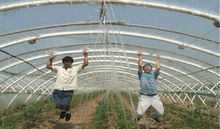 新型菱鎂無支柱大棚支架