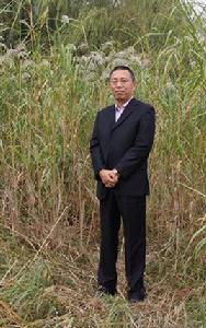 唐鳴[著名教授]