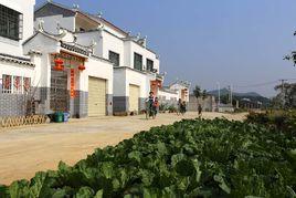 福利鎮[廣西壯族自治區陽朔縣福利鎮位於灕江北岸]