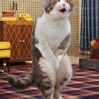 射精困難 射精困難