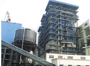 泰山集團股份有限公司