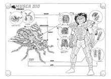 聖鬥士星矢[車田正美原作的漫畫]
