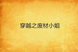 穿越之廢材小姐 穿越之廢材小姐