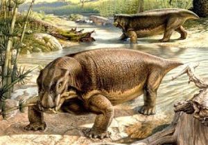 水龍獸[類哺乳爬行動物]